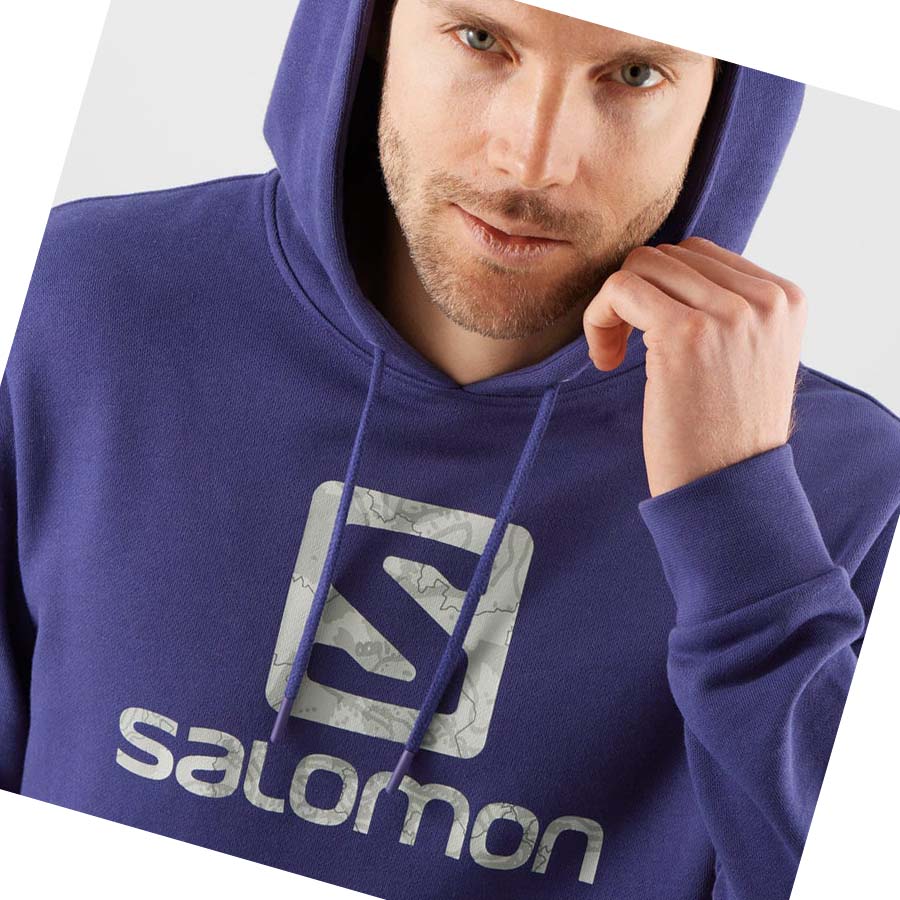 Salomon OUTLIFE LOGO SUMMER Erkek Kapüşonlu Sweatshirt Mor | TR 3220XYU